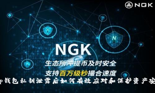 tp钱包私钥泄露后如何有效应对和保护资产安全