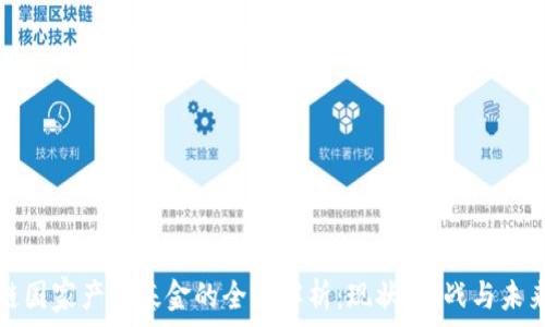 区块链国家产业基金的全景解析:现状、挑战与未来发展
