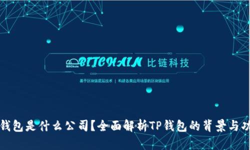 TP钱包是什么公司?全面解析TP钱包的背景与功能