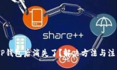 USDT转到TP钱包后消失了？解决方法与注