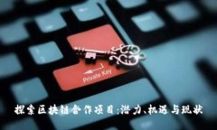 探索区块链合作项目：潜力、机遇与现