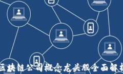 区块链公司概念龙头股全面解析