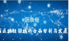 美国区块链领域的全面分析与发展趋势