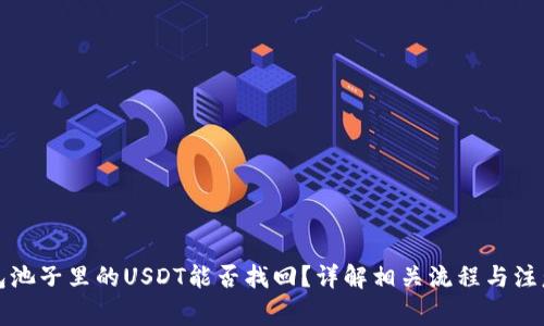 TP钱包池子里的USDT能否找回?详解相关流程与注意事项