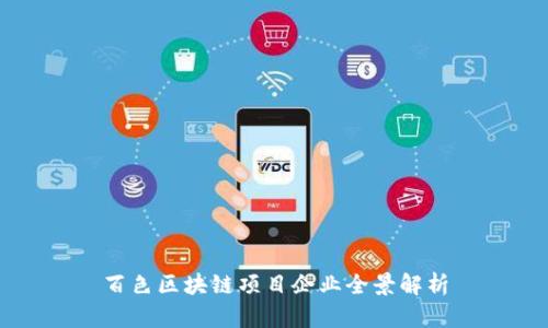 百色区块链项目企业全景解析