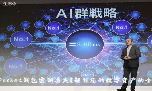 TokenPocket钱包密钥丢失?解锁您的数字资产的全面指南