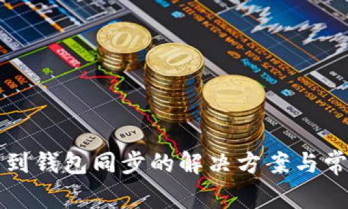 TP钱包找不到钱包同步的解决方案与常见问题解析