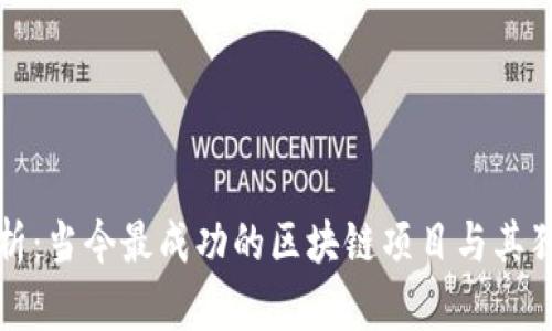 深入分析:当今最成功的区块链项目与其独特优势