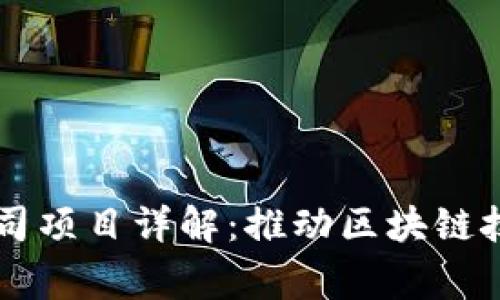常山区块链公司项目详解:推动区块链技术发展和应用
