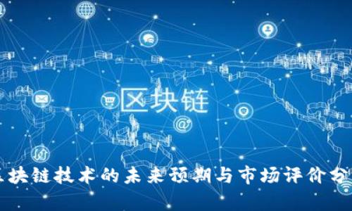 区块链技术的未来预期与市场评价分析
