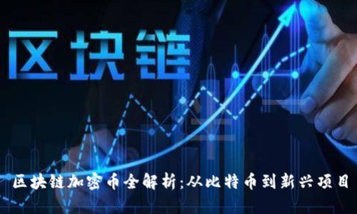 区块链加密币全解析:从比特币到新兴项目