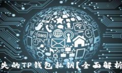   如何找回丢失的TP钱包私钥？全面解
