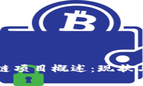 国家区块链项目概述:现状与未来发展