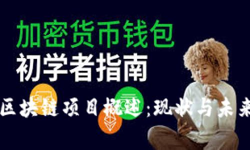 国家区块链项目概述:现状与未来发展