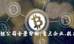2023年金融区块链公司全景分析：重点