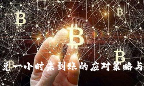 TP钱包闪兑一小时未到账的应对策略与解决方案