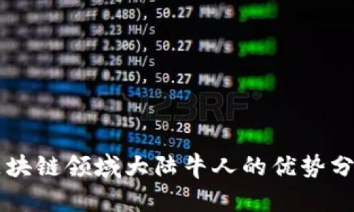 区块链领域大陆牛人的优势分析
