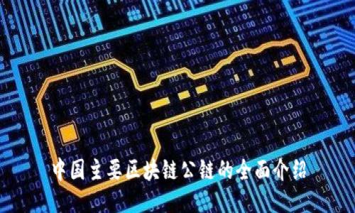 中国主要区块链公链的全面介绍
