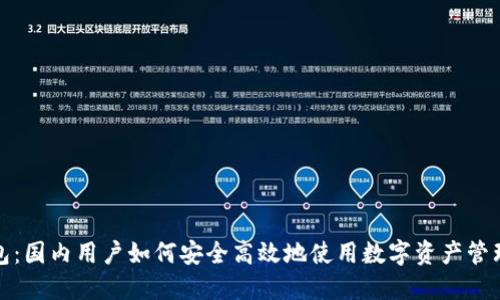 TP钱包:国内用户如何安全高效地使用数字资产管理工具