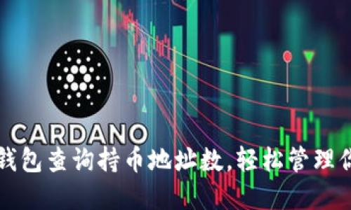 如何通过TP钱包查询持币地址数,轻松管理你的数字资产