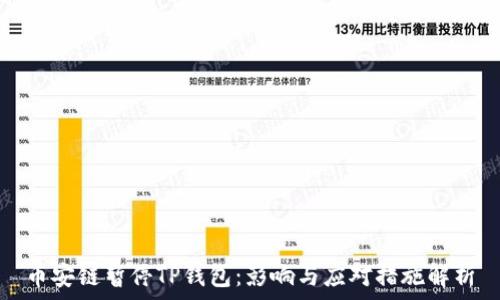 币安链暂停TP钱包:影响与应对措施解析