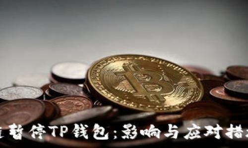 币安链暂停TP钱包:影响与应对措施解析