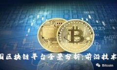 2023年中国区块链平台全景分析：前沿