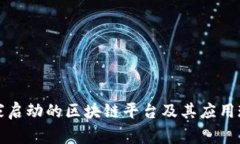 国家启动的区块链平台及其应用现状