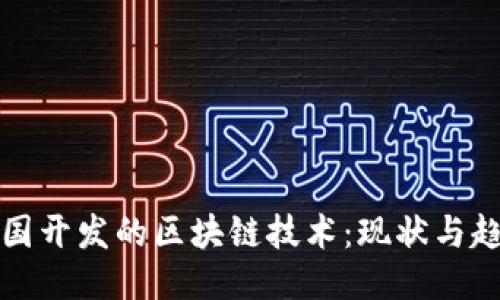 中国开发的区块链技术:现状与趋势