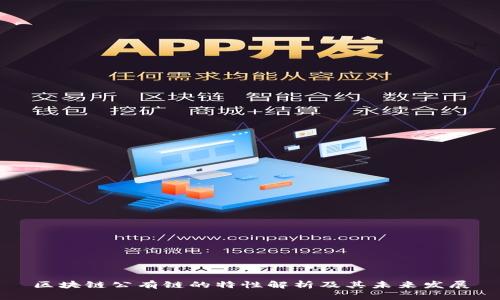 区块链公有链的特性解析及其未来发展