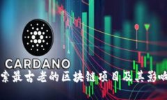 探索最古老的区块链项目及其影响力