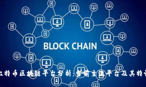 比特币区块链平台分析:当前主流平台及其特性