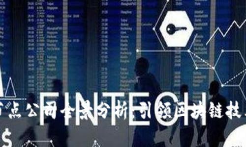区块链专用节点公司全景分析:引领区块链技术未来的先锋