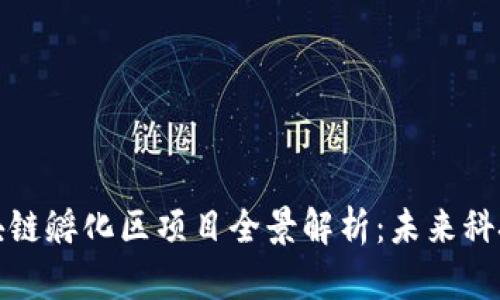 赣州区块链孵化区项目全景解析:未来科技新蓝海