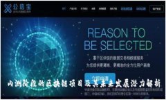 内测阶段的区块链项目及其未来发展潜