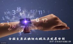 全国主要区块链之城及其发展分析