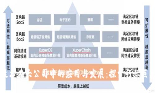 区块链技术在大公司中的应用与发展:探索行业巨头的布局