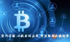 : 区块链软件开发实例详解：从技术到