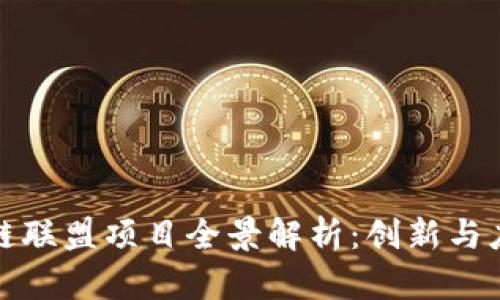 辽宁区块链联盟项目全景解析:创新与应用的前沿