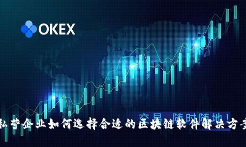 私营企业如何选择合适的区块链软件解决方案