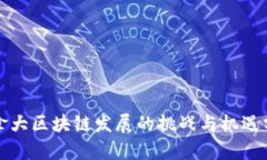 加拿大区块链发展的挑战与机遇分析