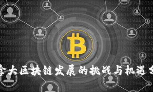 加拿大区块链发展的挑战与机遇分析