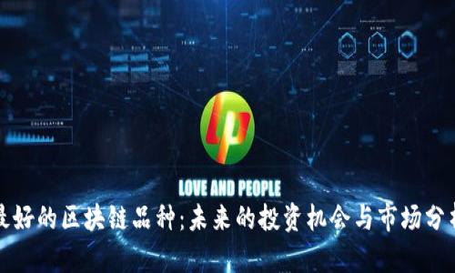 最好的区块链品种:未来的投资机会与市场分析