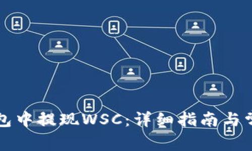 如何在TP钱包中提现WSC:详细指南与常见问题解答