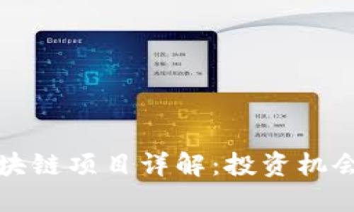 桐庐重点区块链项目详解:投资机会与未来发展