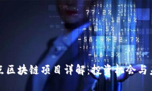桐庐重点区块链项目详解:投资机会与未来发展