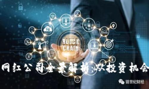 海南区块链网红公司全景解析:从投资机会到行业动态