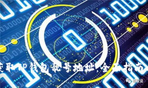 如何获取TP钱包靓号地址:全面指南与建议
