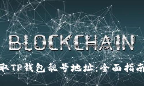 如何获取TP钱包靓号地址:全面指南与建议