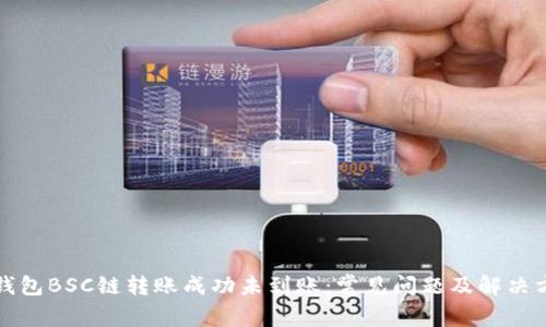 TP钱包BSC链转账成功未到账:常见问题及解决方案